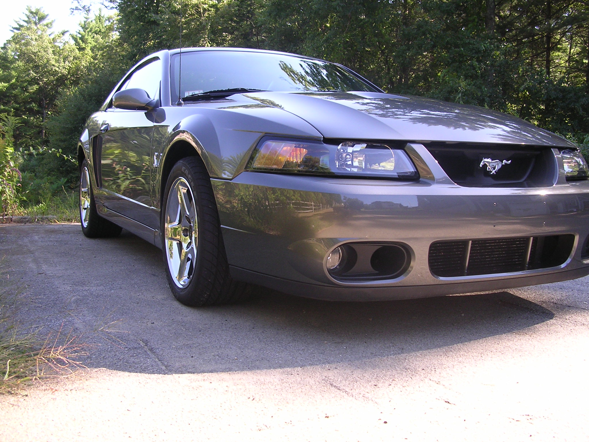 2003  Ford Mustang Cobra picture, mods, upgrades