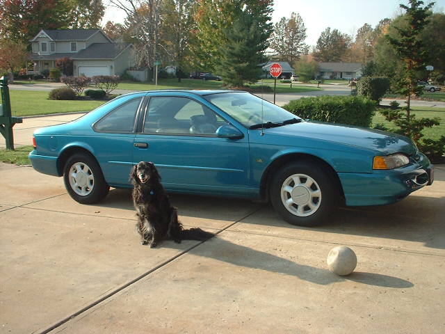 1994  Ford Thunderbird LX picture, mods, upgrades