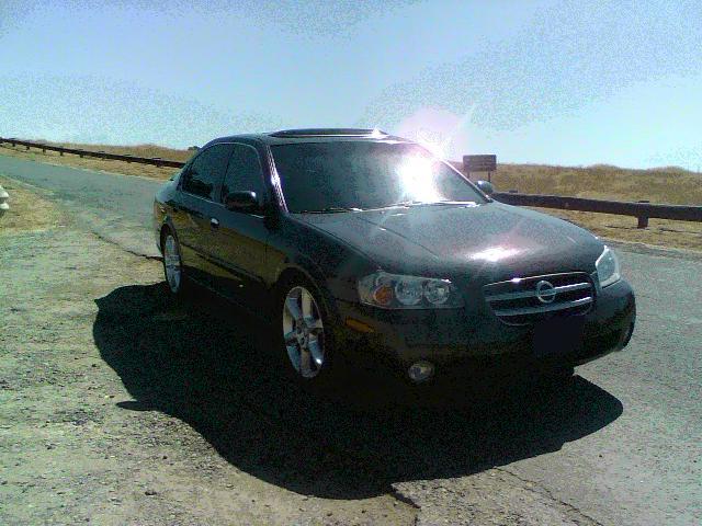 2002  Nissan Maxima GLE picture, mods, upgrades