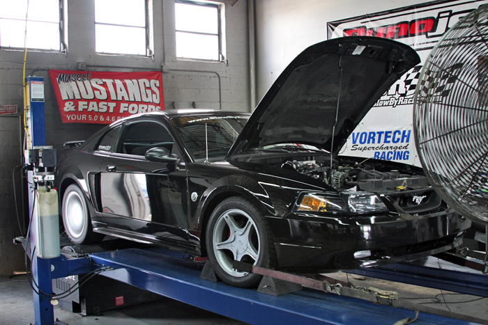 2004  Ford Mustang GT coupe picture, mods, upgrades