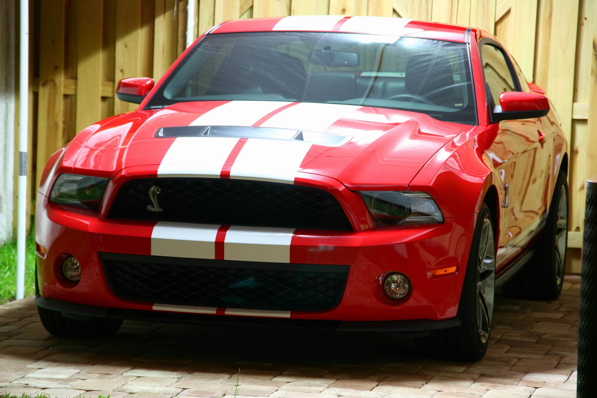  2010 Ford Mustang Shelby-GT500 