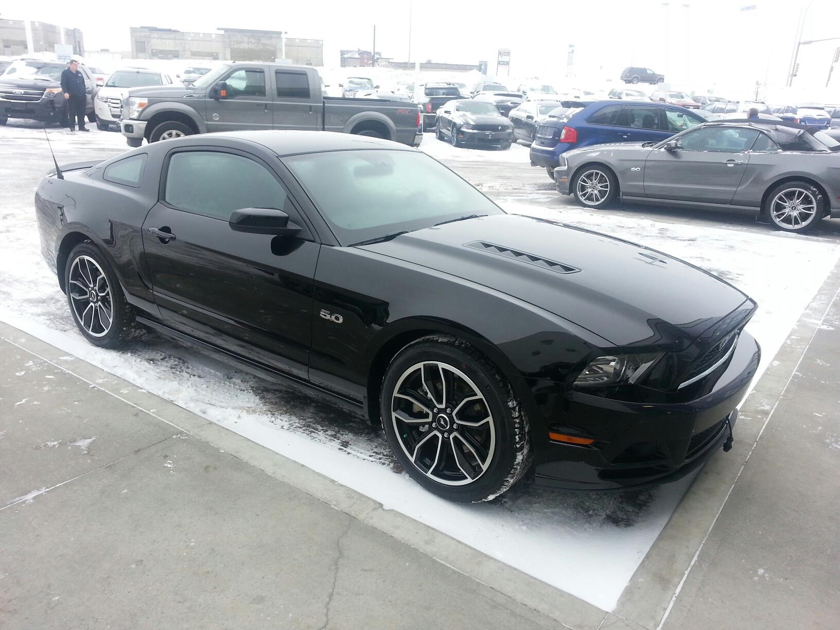 Black 2013 Ford Mustang GT Premium