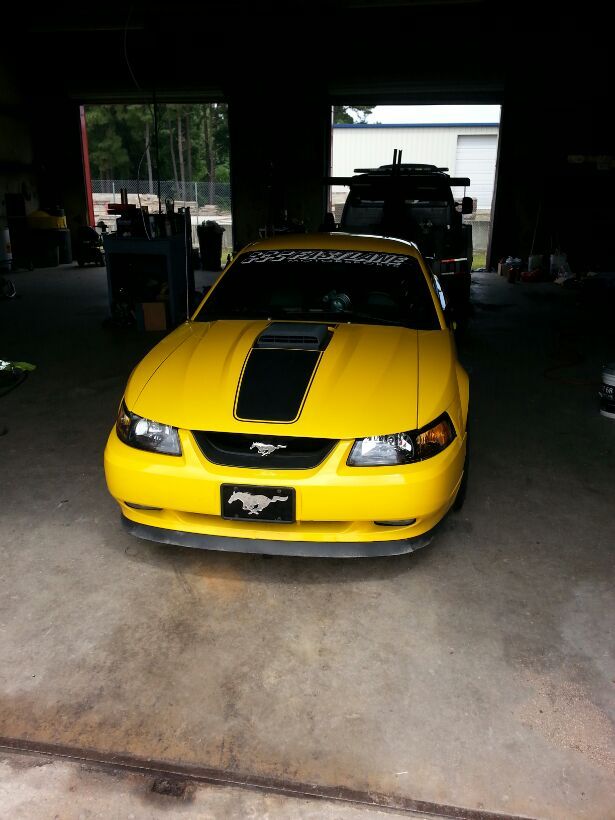 2004 Yellow Ford Mustang Mach 1 Procharger picture, mods, upgrades