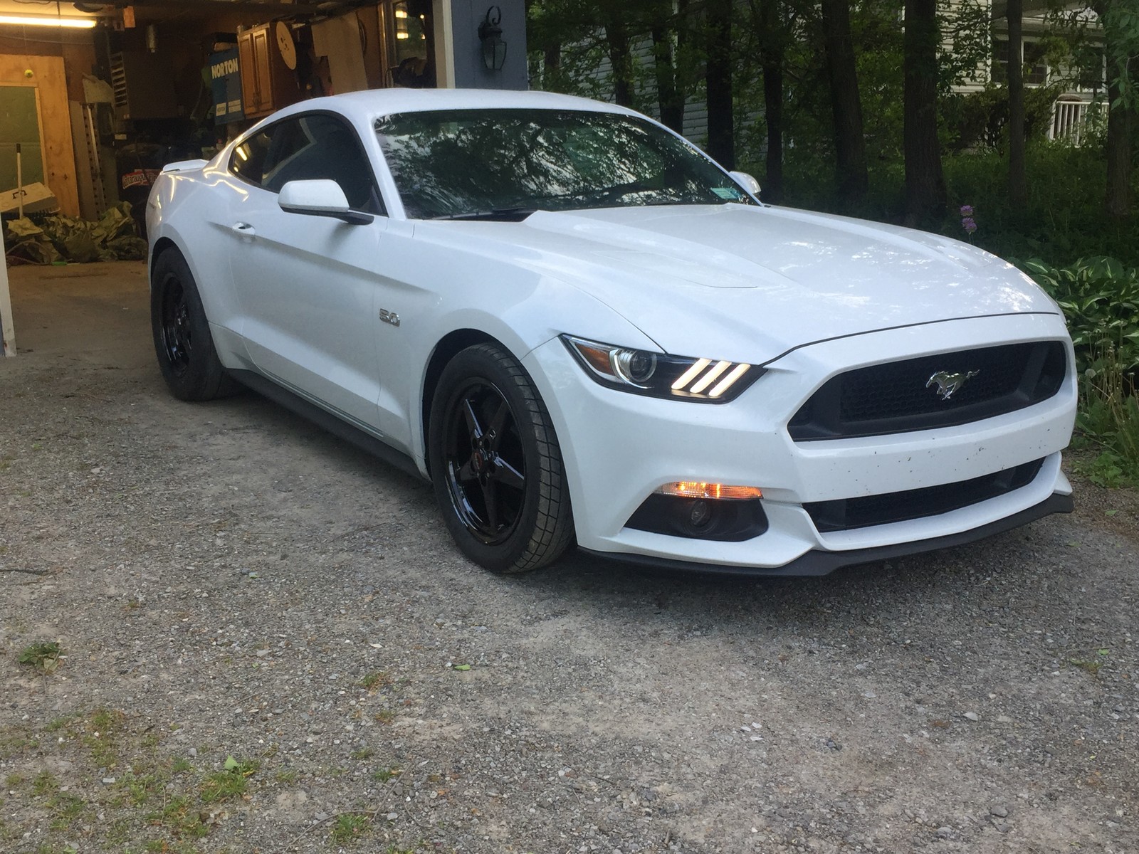 2016  Ford Mustang Gt picture, mods, upgrades