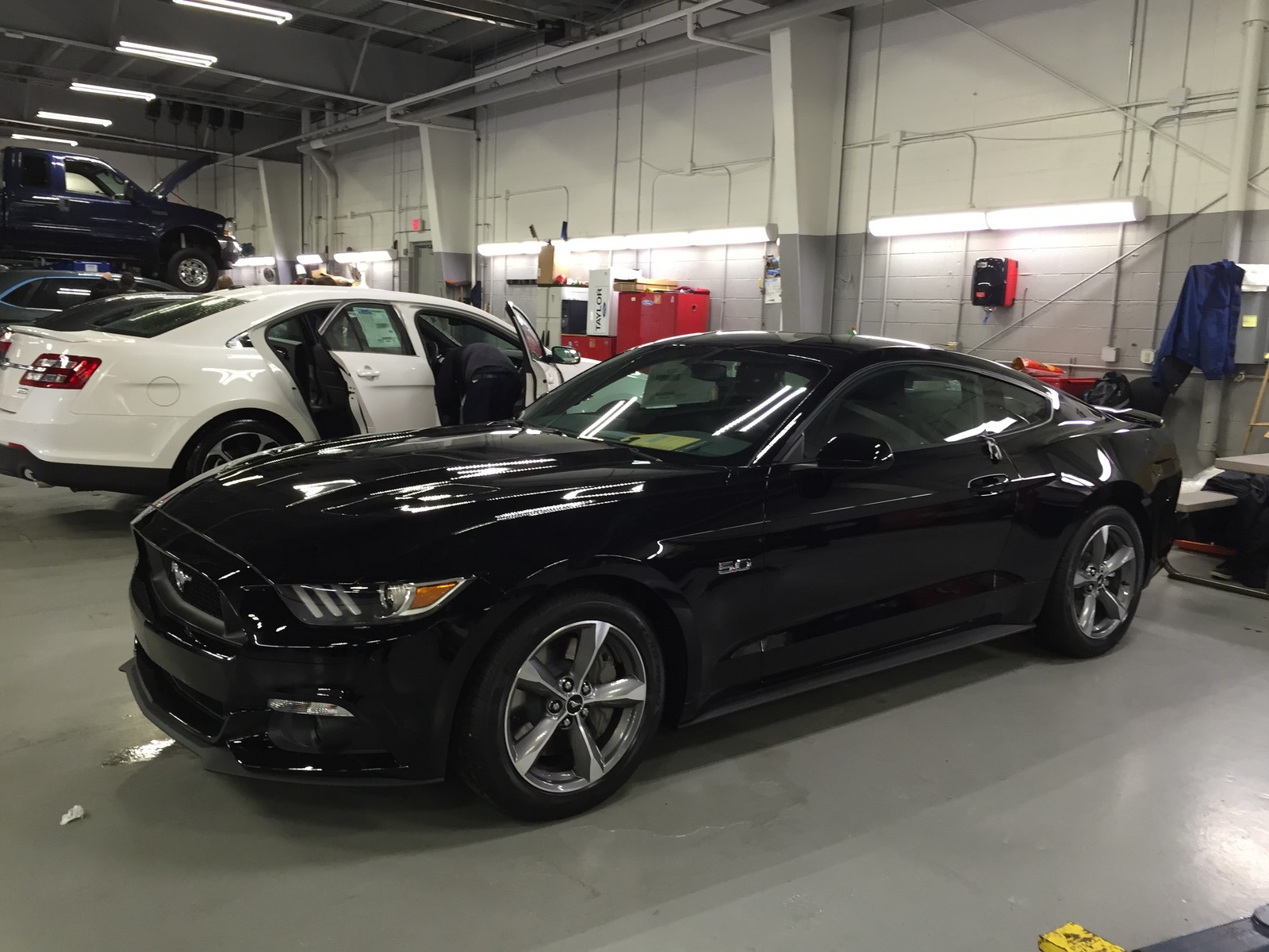 2016 Black Ford Mustang GT picture, mods, upgrades