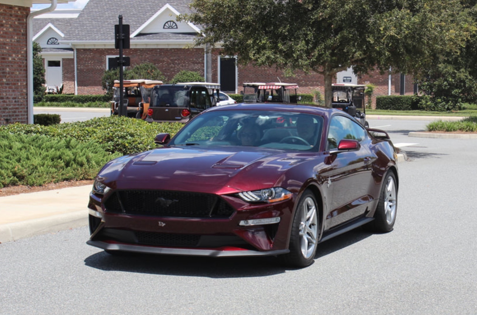  Royal Crimson   2018 Ford Mustang GT PP1 Auto