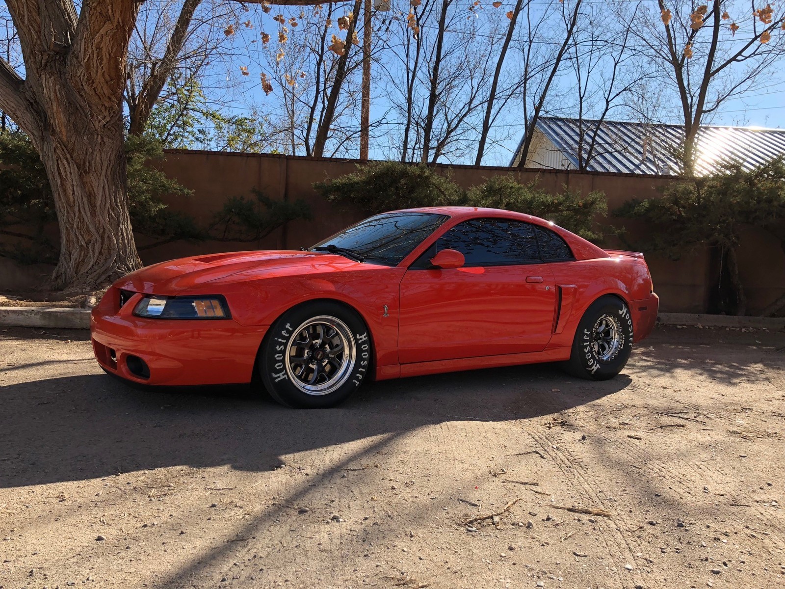 2004 Orange Ford Mustang Cobra picture, mods, upgrades
