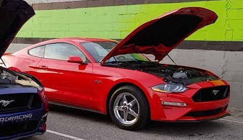 2019 Red Ford Mustang GT    N/A picture, mods, upgrades