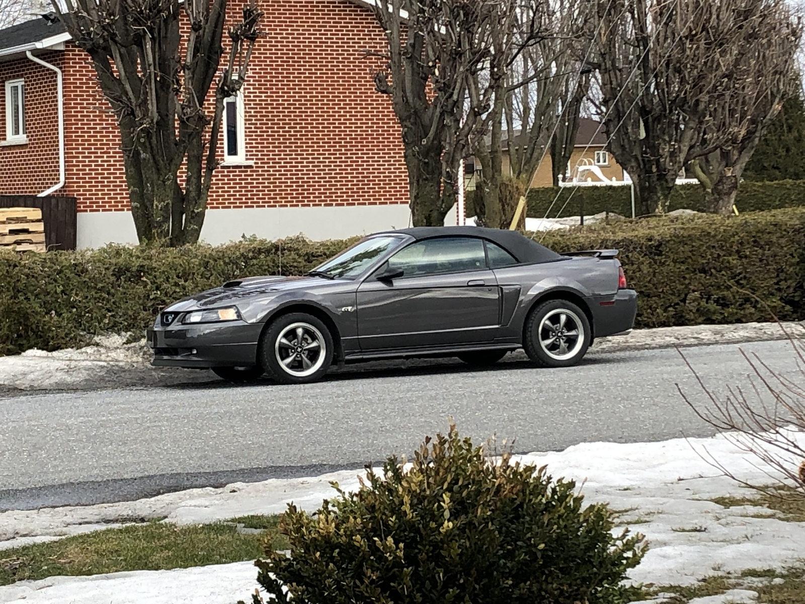 Dark shadow grey  2003 Ford Mustang GT convertible 