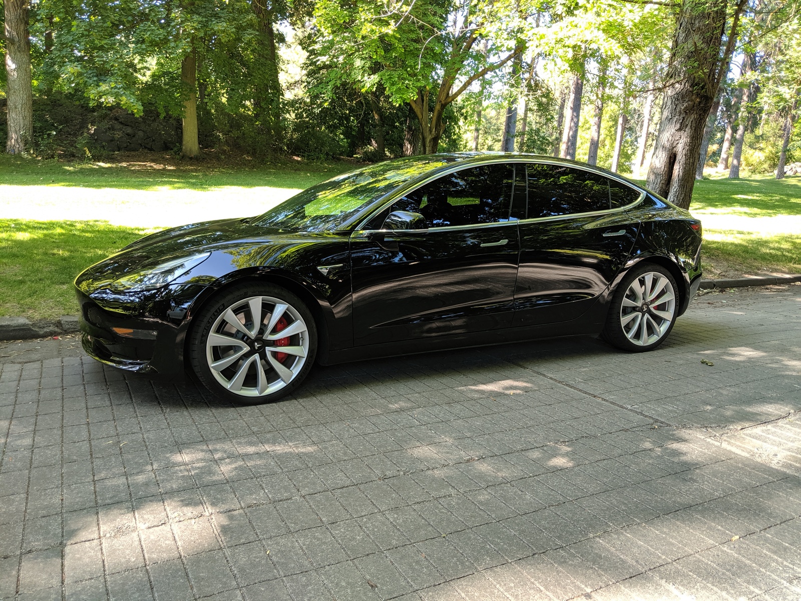  2018 Tesla Model 3 Model 3 Performance 