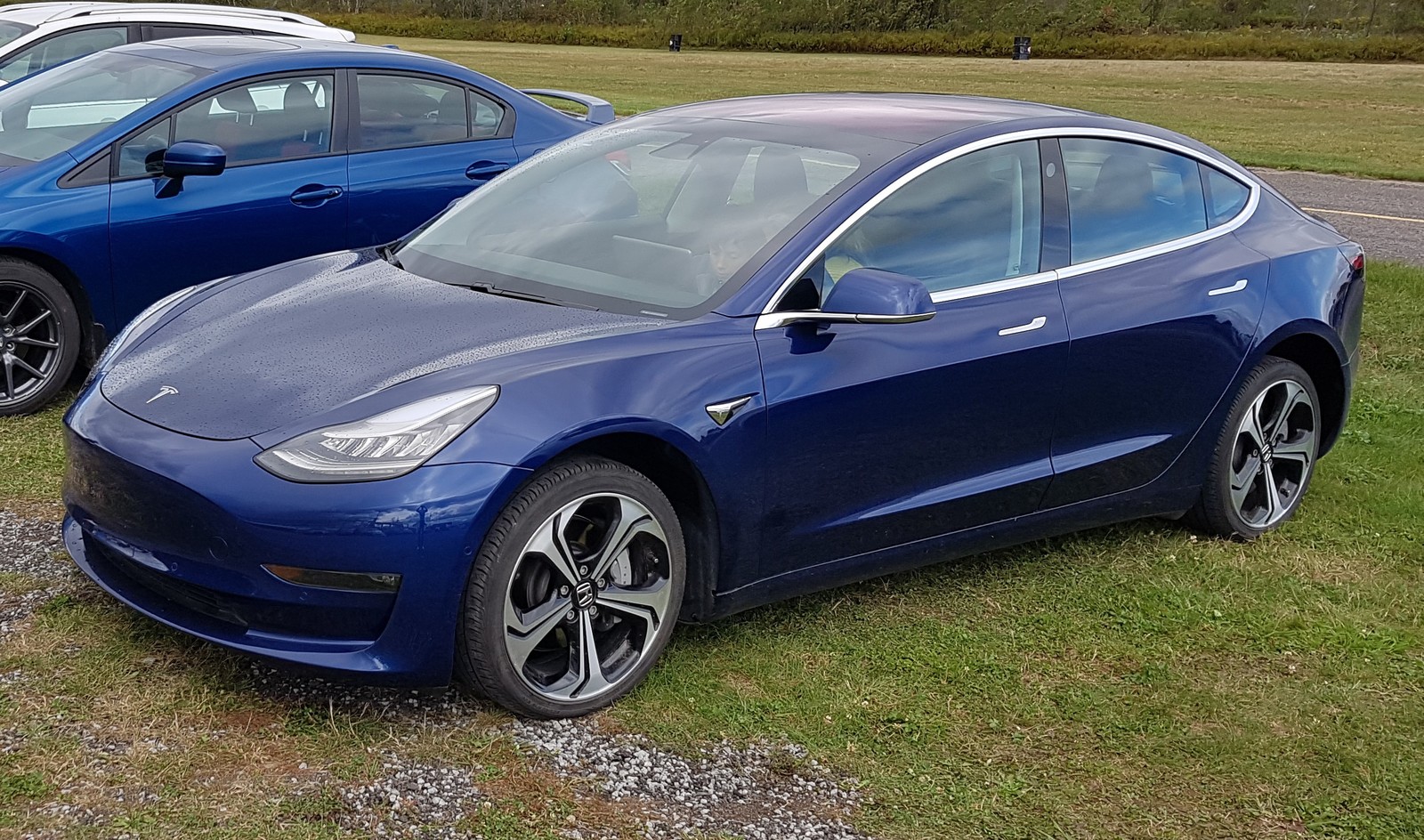Blue 2019 Tesla Model 3 Long Range Dual Motor