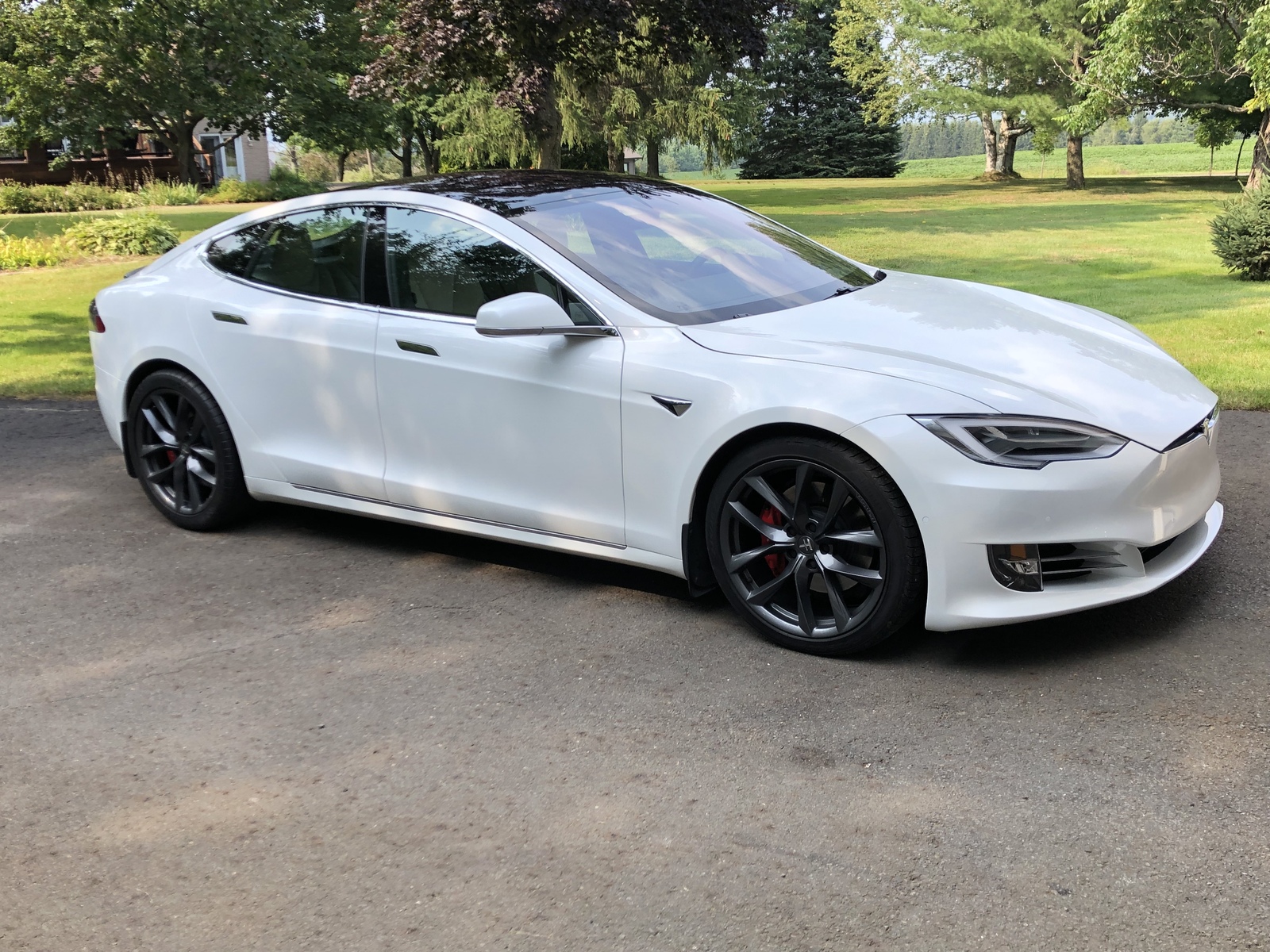 2020 White Tesla Model S Performance picture, mods, upgrades