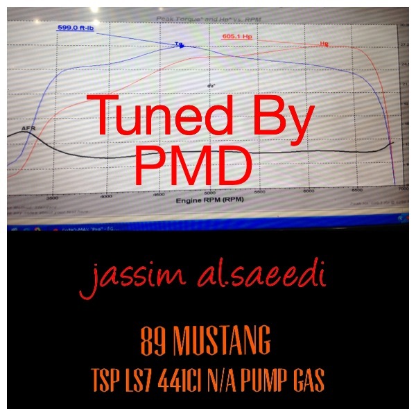 1989 White Ford Mustang ss Dyno Graph