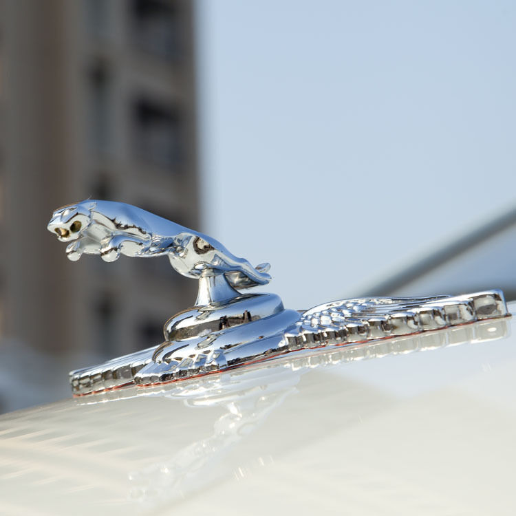 Metal 3d Wing Hood Ornament Badge Car Leaping Emblem For  Jaguar XJR XJ6