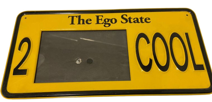 2 Cool The Ego State Photo Aluminum Novelty Auto License Tag Plate Gift