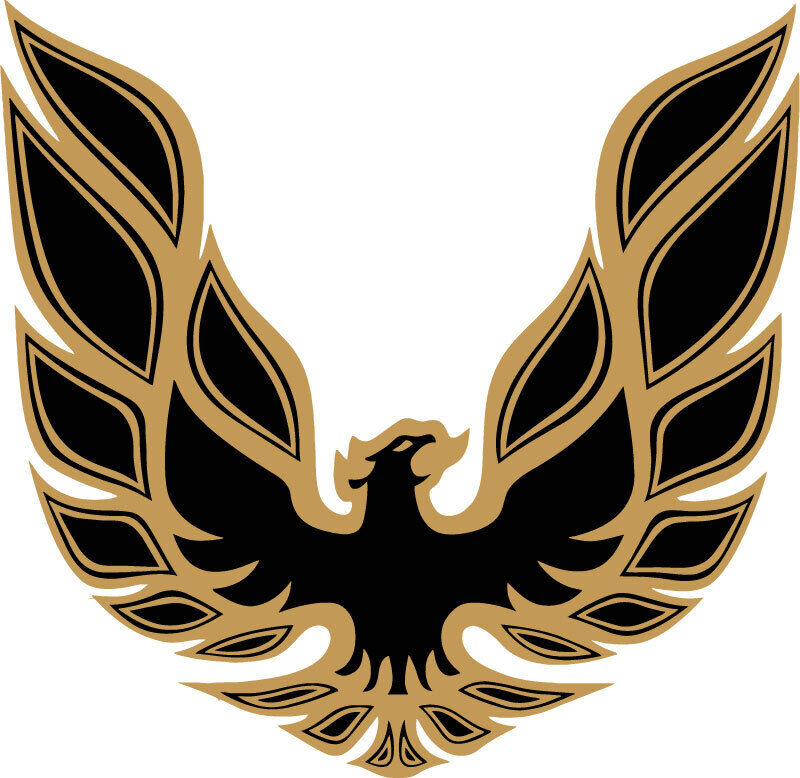 Trans Am Eagle Decal   ~  Vinyl Car Wall Sticker - Small to XLarge