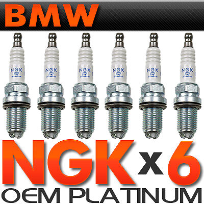6-BMW Spark Plugs NGK Double Laser Platinum BMW Upgrade Set for E39-E46-M54