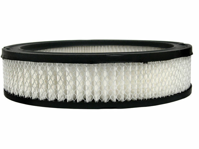 AC Delco Professional Air Filter fits American Motors Pacer 1975-1980 95WBGX