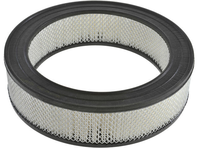 Air Filter For 1981-1993 Dodge D250 1992 1982 1983 1984 1985 1986 1987 BV148CP
