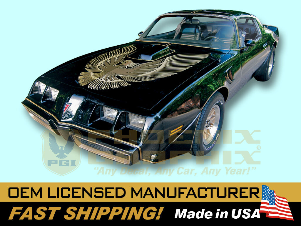 1981 Trans Am Special Edition Bandit Firebird Decals Stripes 2-Color COMPLETE