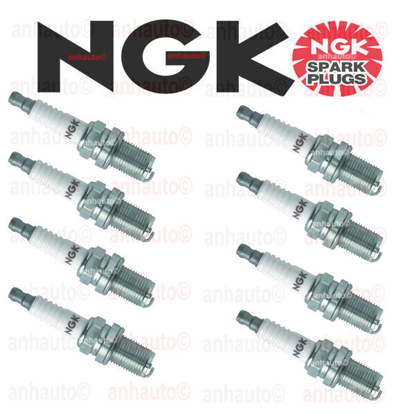 Set of 8 NGK R5671A7 4091  NGK V-Racing Spark Plugs 
