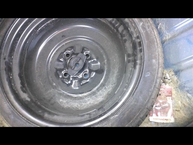 Wheel 15x4 Spare FWD Fits 02-07 AERIO 17450848