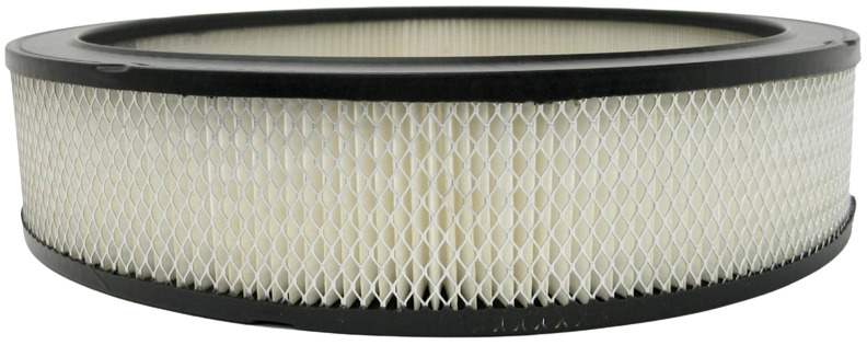 A212CW AC Delco Air Filter New for Chevy Olds Le Sabre NINETY EIGHT Cutlass