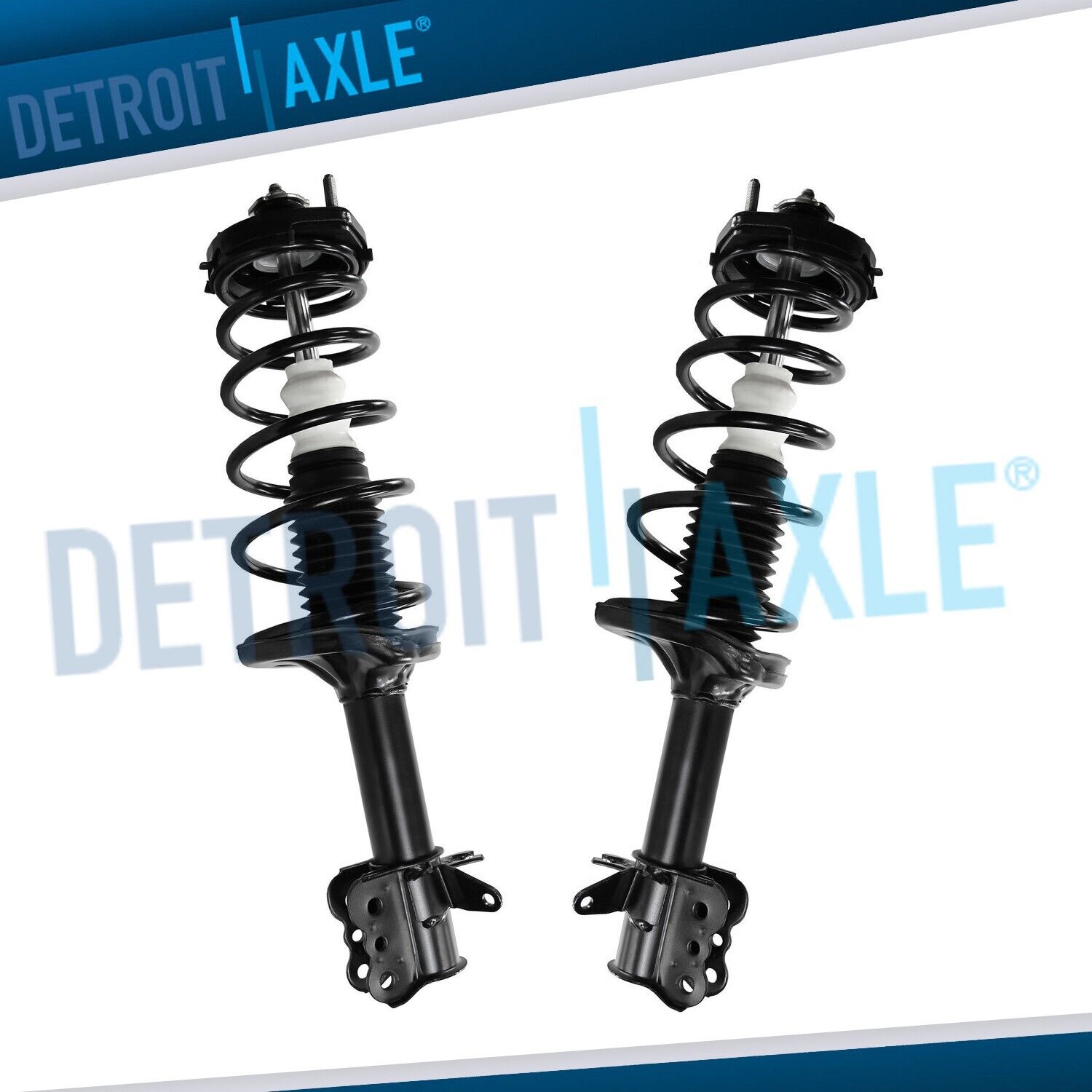 Rear Left Right Struts w/ Coil Spring Assembly Set for 1999 - 2003 Mazda Protege