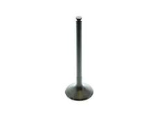 Intake Valve For 1992-1993 Mercedes 300SE TB454WG picture