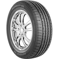 Tire 195/65R15 Aspen GT-AS AS A/S Performance 91H picture
