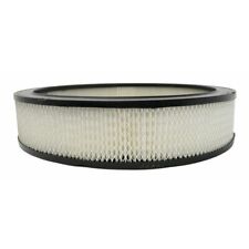 A212CW AC Delco Air Filter for Chevy Olds Le Sabre NINETY EIGHT Cutlass Malibu picture
